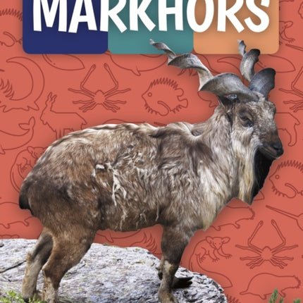 Weird and Wonderful Animals: Markhors