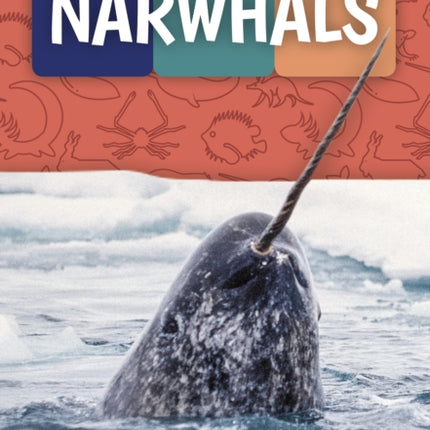 Weird and Wonderful Animals: Narwhals