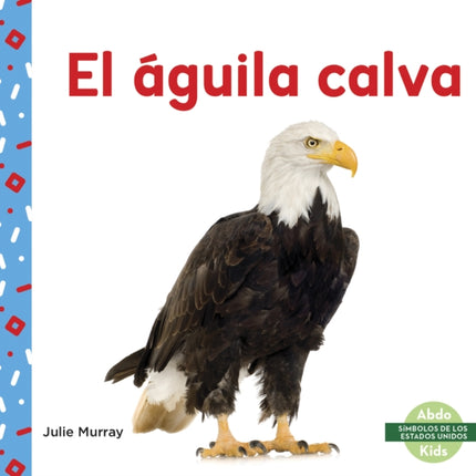 El águila calva (Bald Eagle)