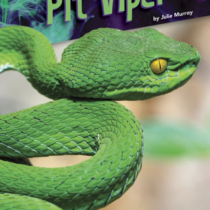 Animals with Venom: Pit Viper