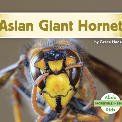 Incredible Insects: Asian Giant Hornet