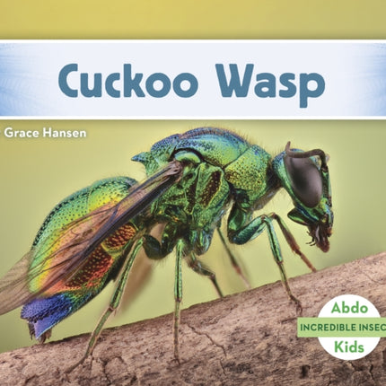 Incredible Insects: Cuckoo Wasp