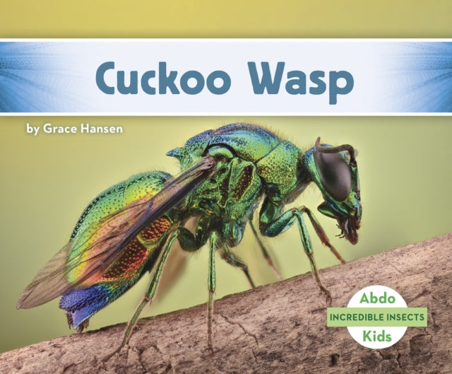 Incredible Insects: Cuckoo Wasp