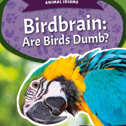 Animal Idioms: Birdbrain: Are Birds Dumb?