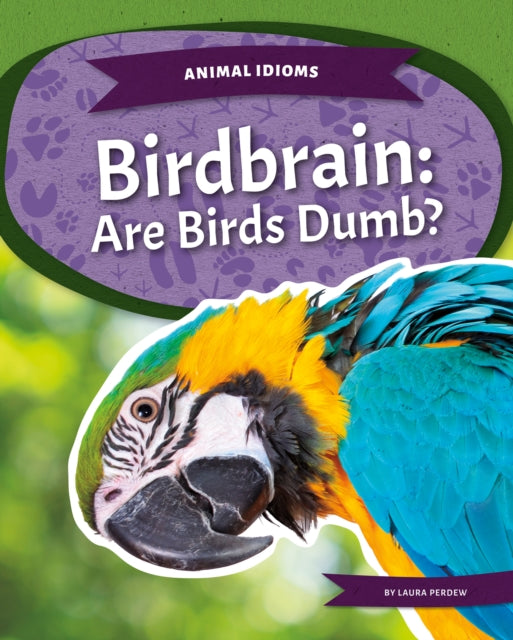 Animal Idioms: Birdbrain: Are Birds Dumb?