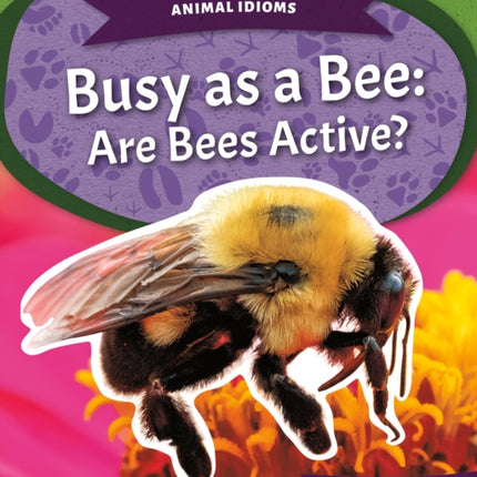 Animal Idioms: Busy as a Bee: Are Bees Active?