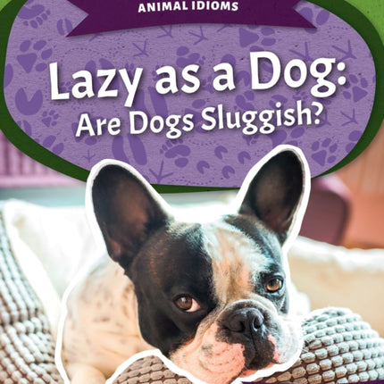 Animal Idioms: Lazy as a Dog: Are Dogs Sluggish?