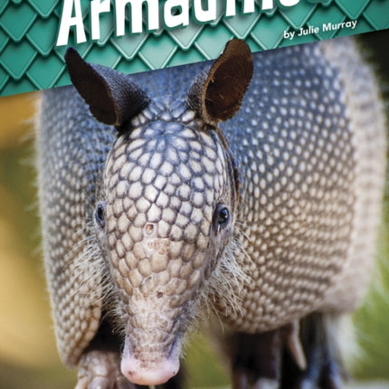 Animals with Armor: Armadillos