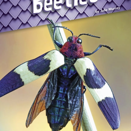 Animals with Armor: Beetles