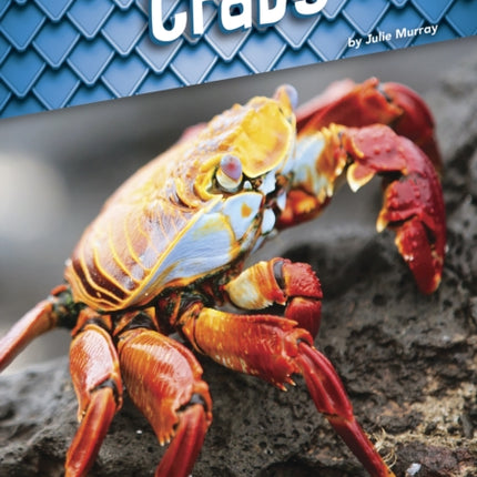 Animals with Armor: Crabs