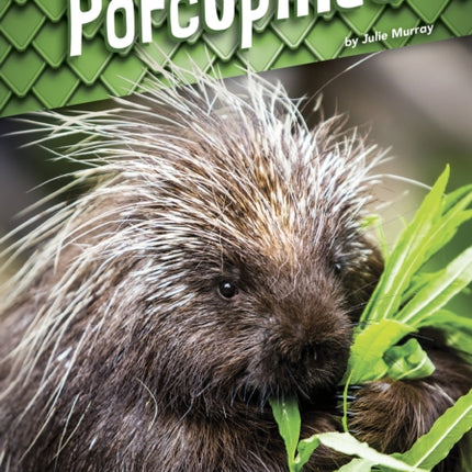 Animals with Armor: Porcupines