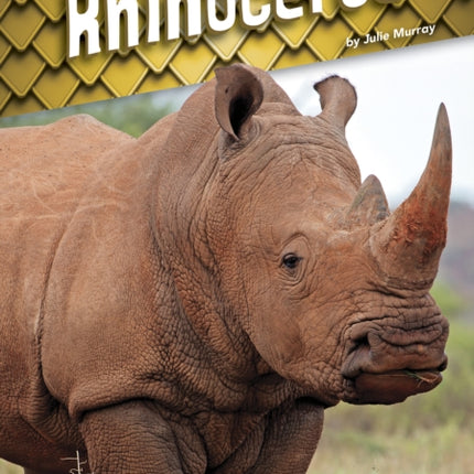 Animals with Armor: Rhinoceros