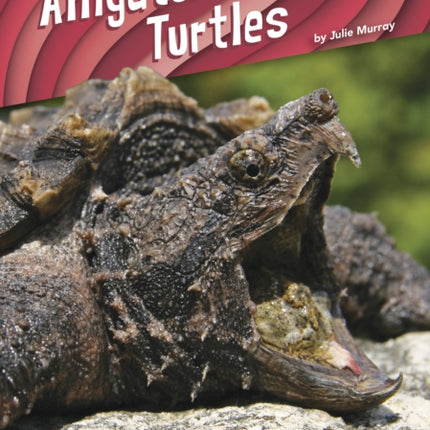 Animal Pranksters: Alligator Snapping Turtles