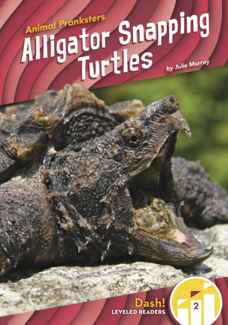 Animal Pranksters: Alligator Snapping Turtles