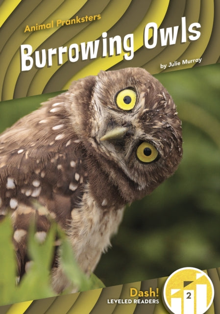 Animal Pranksters: Burrowing Owls