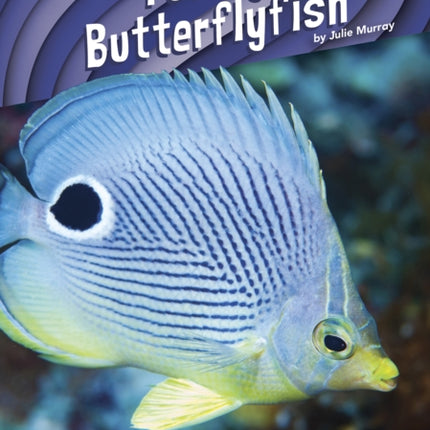 Animal Pranksters: Foureye Butterflyfish