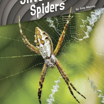 Animal Pranksters: Silver Argiope Spiders