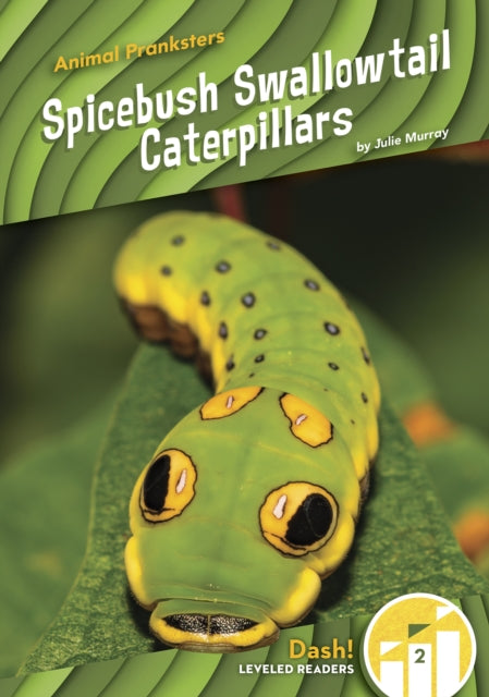 Animal Pranksters: Spicebush Swallowtail Caterpillars