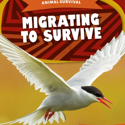 Animal Survival: Migrating to Survive