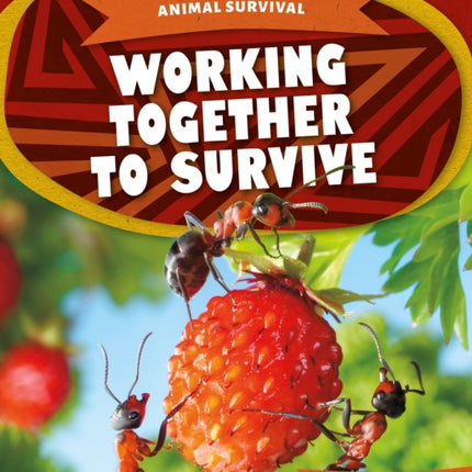 Animal Survival: Working Together to Survive