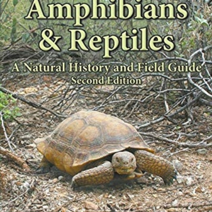 Arizona's Amphibians & Reptiles: A Natural History and Field Guide