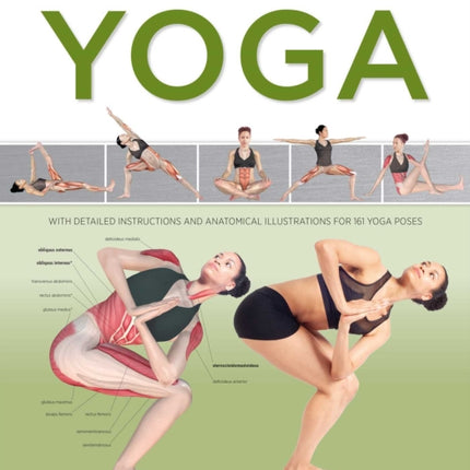 Ultimate Guide to Yoga