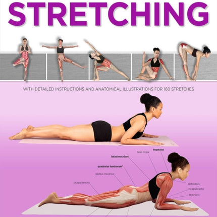Ultimate Guide to Stretching