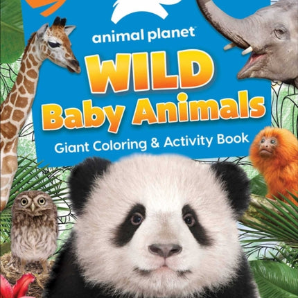 Animal Planet: Wild Baby Animals Coloring Book