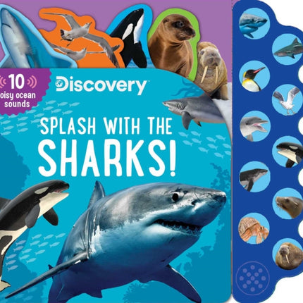 Discovery: Splash with the Sharks!