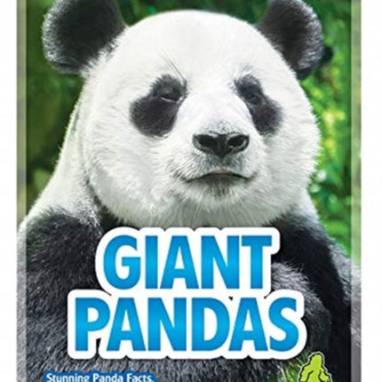 Giant Pandas