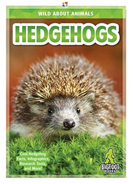 Hedgehogs