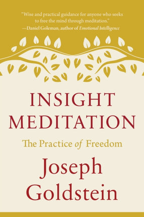 Insight Meditation