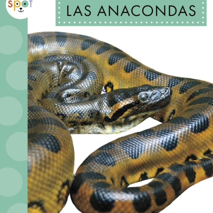 Las Anacondas