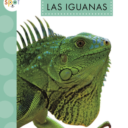 Las Iguanas