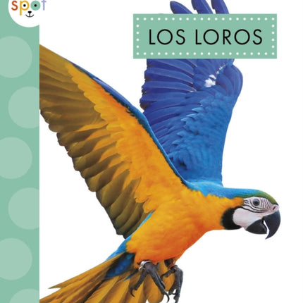 Los Loros