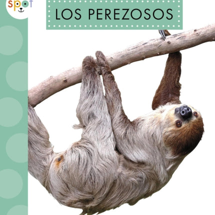 Los Perezosos