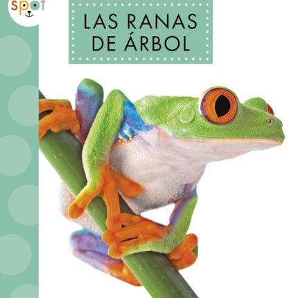 Las Ranas de Árbol