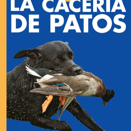 Curiosidad Por La Cacería de Patos