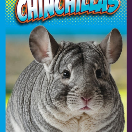 Chinchillas
