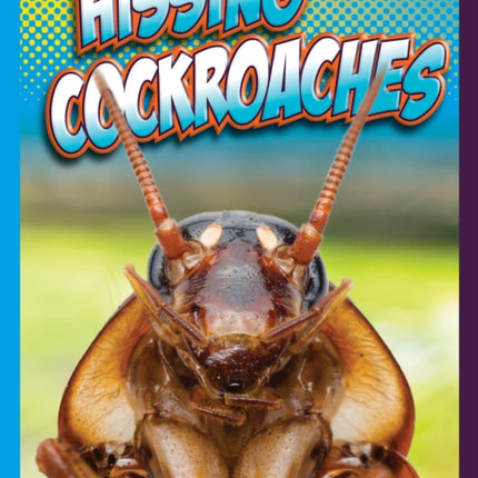 Hissing Cockroaches