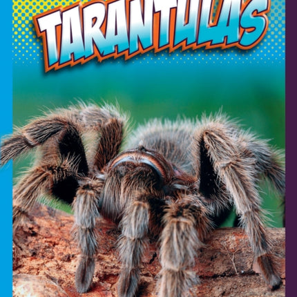 Tarantulas