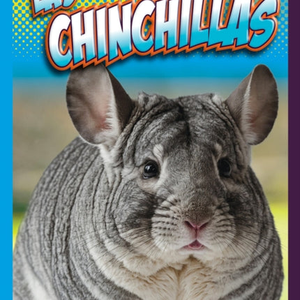 Las Chinchillas