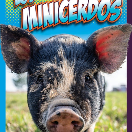 Los Minicerdos