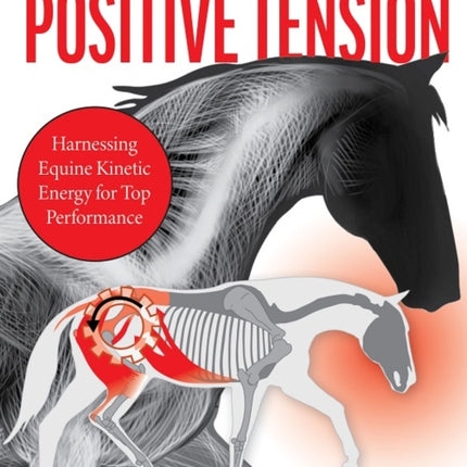 The Horse in Positive Tension: Harnessing Equine Kinetic Energy for Top Performance