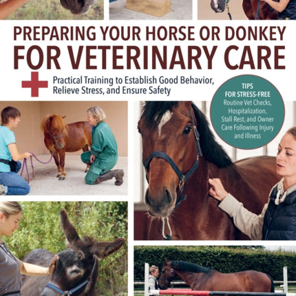 Preparing Your Horse or Donkey for Veterinary Care