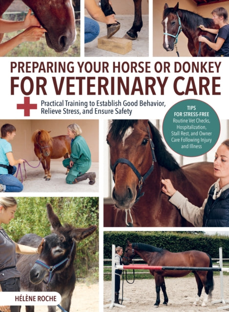 Preparing Your Horse or Donkey for Veterinary Care