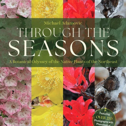 Through the Seasons