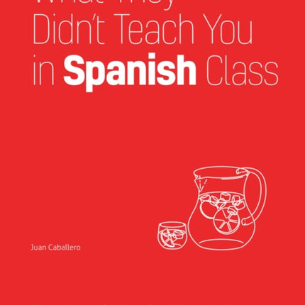 What They Didn't Teach You In Spanish Class: Slang Phrases for the Cafe, Club, Bar, Bedroom, Ball Game and More