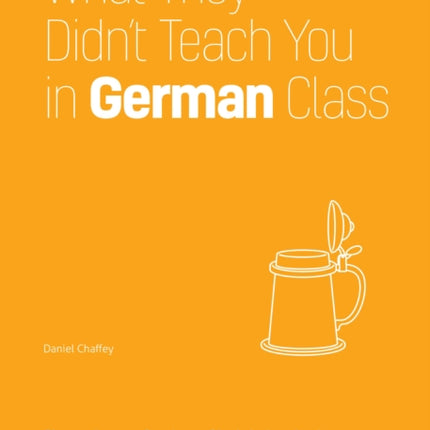 What They Didn't Teach You In German Class: Slang Phrases for the Cafe, Club, Bar, Bedroom, Ball Game and More