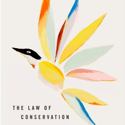 The Law of Conservation